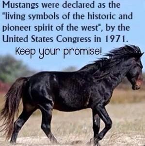 Meet your Posher, Jodi